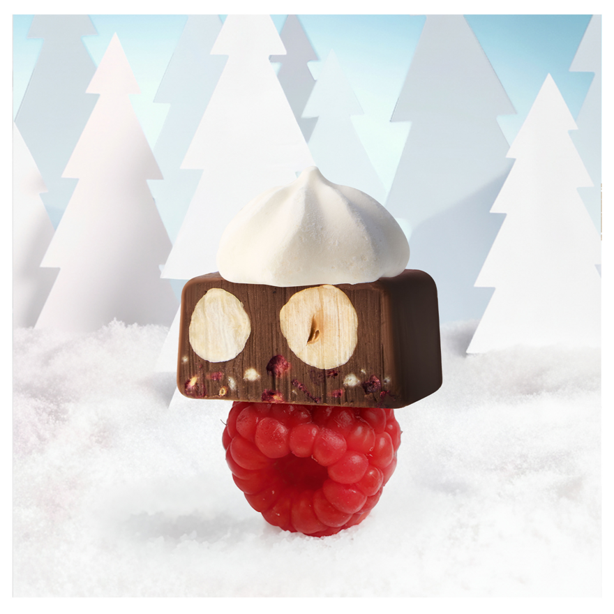 Metal box of assorted two hazelnuts gianduja