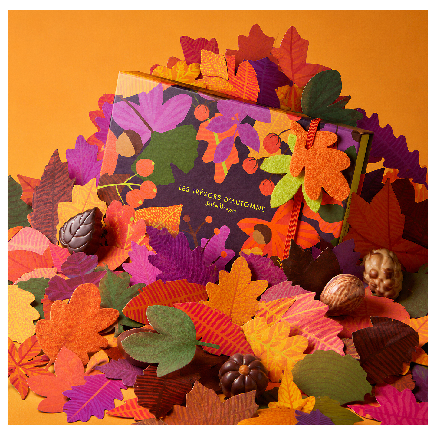 Chocolats Automne, Boite automne - Jeff de Bruges