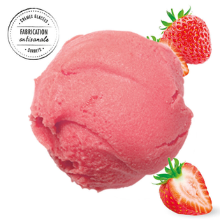 Sorbet Fraise Bio